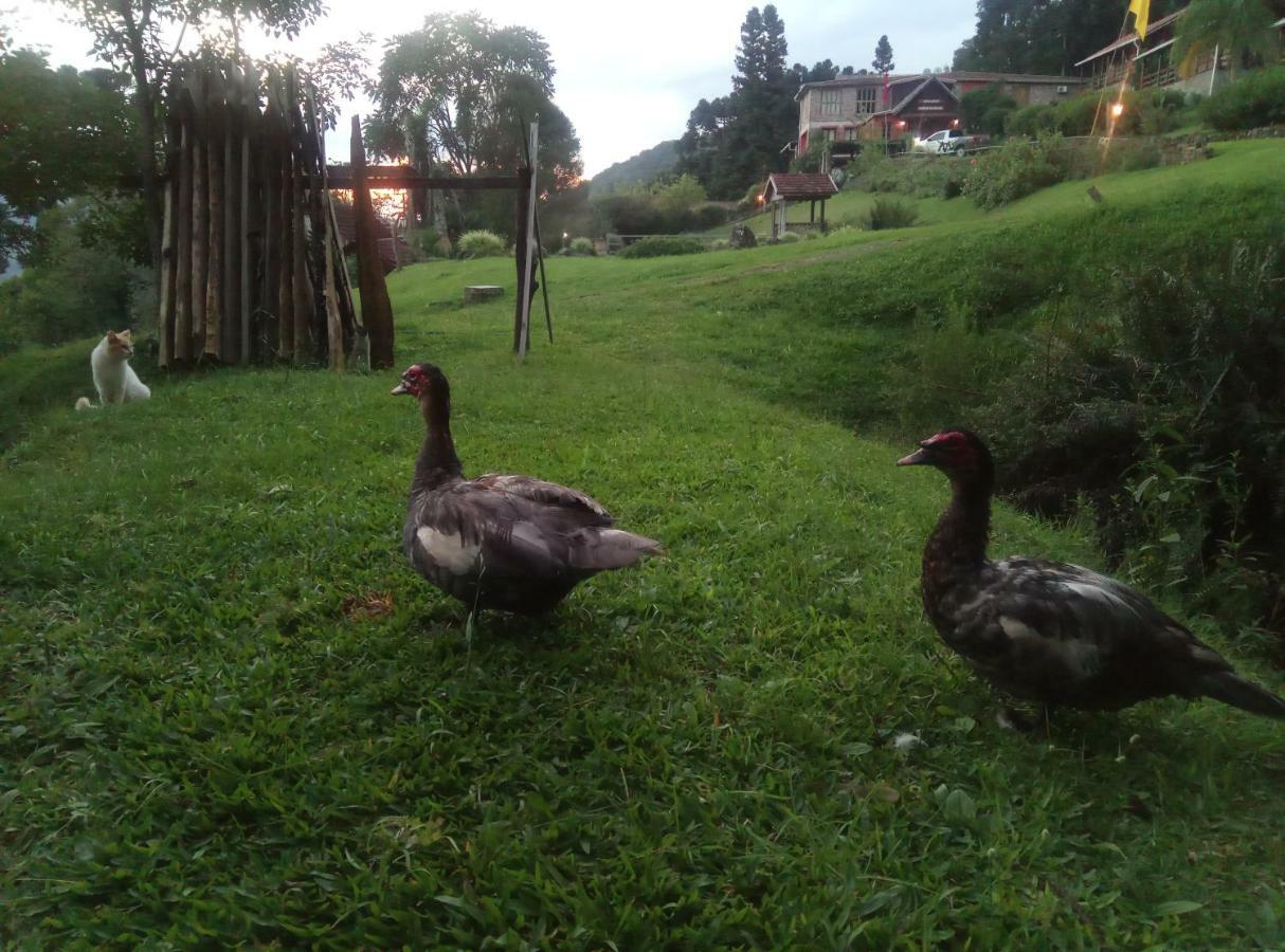 Estalagem Reserva Da Collina Gramado Luaran gambar